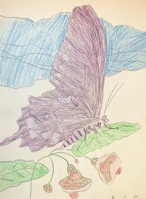 By Susie